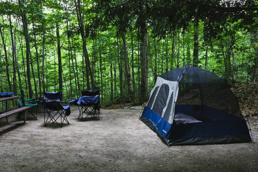 Our campsite in the White Mountains, New Hampshire. Theres nothing like being surrounded by a forest of green. Follow on Instagram @wildlife_by_yuri